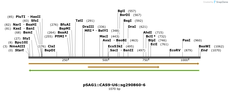 97785_map