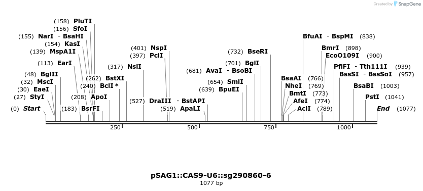 97786_map