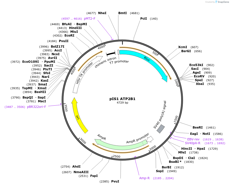 97788_map