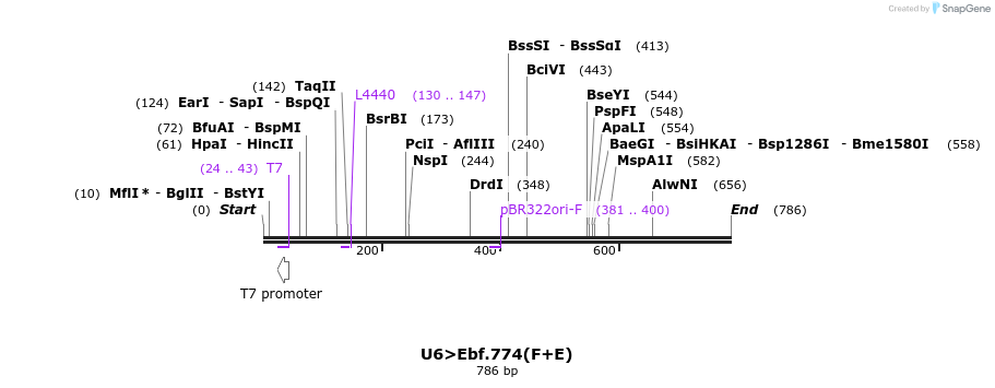 97794_map