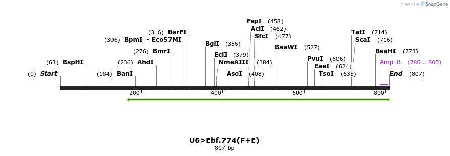 97796_map