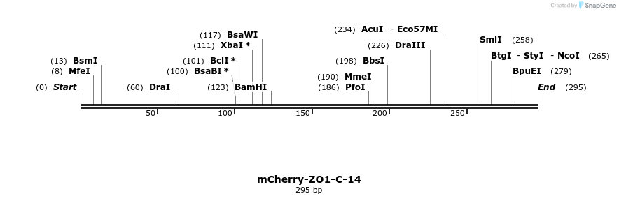 97798_map