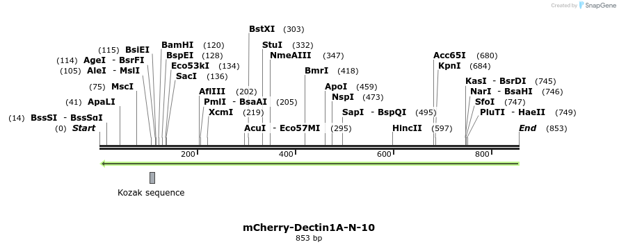 97822_map