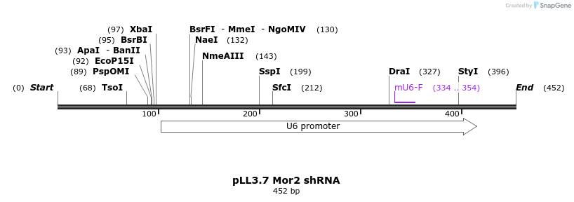 97824_map