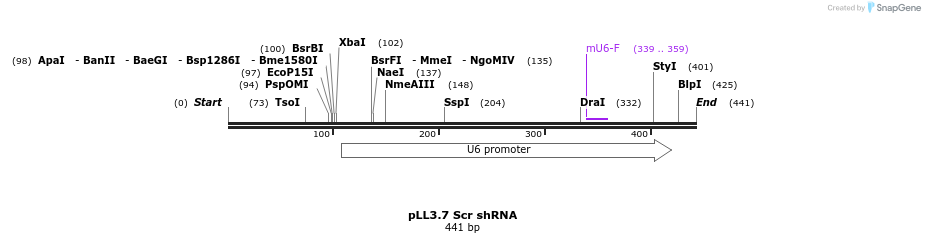 97828_map