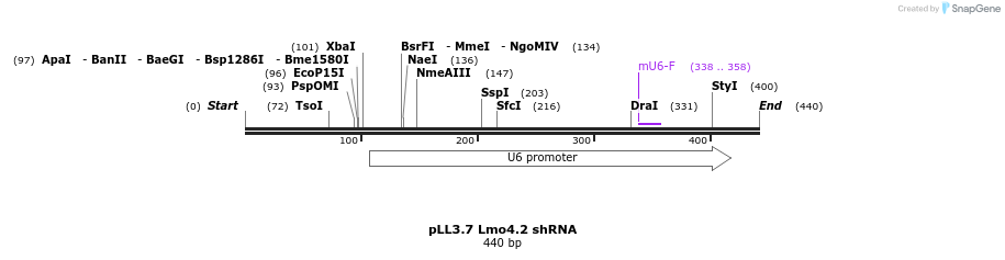 97829_map