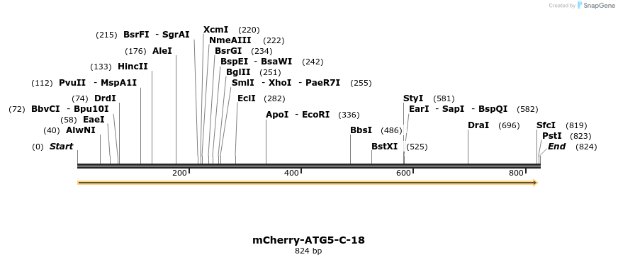97830_map
