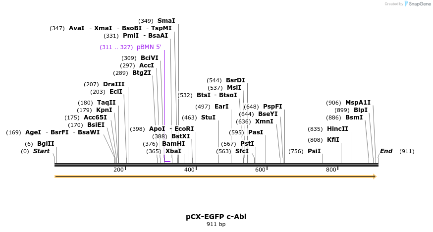 97832_map