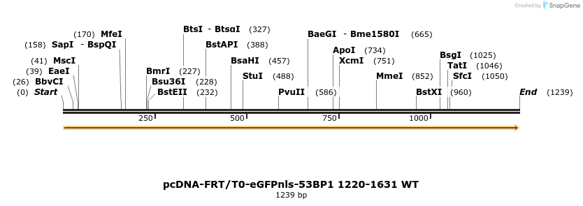 97837_map
