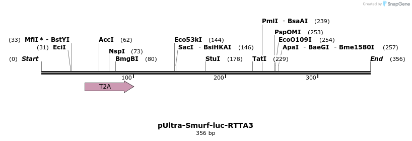 97843_map