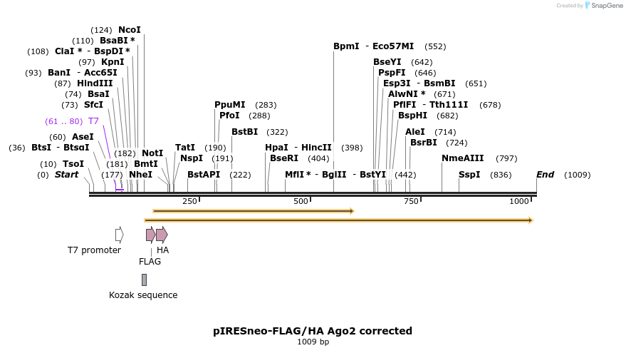 97848_map
