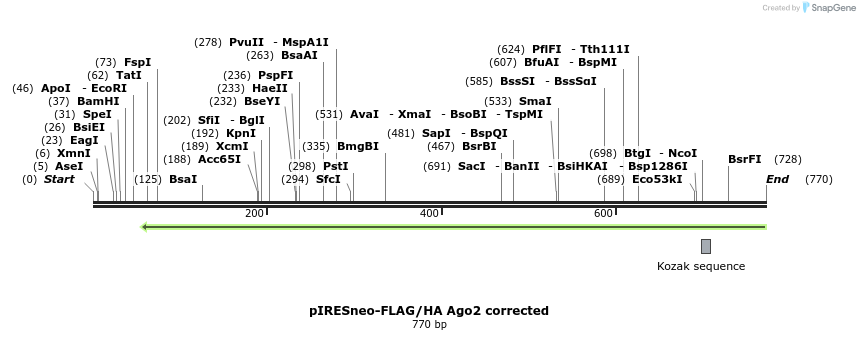 97850_map