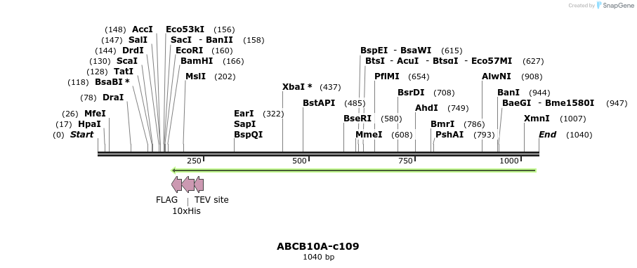 97858_map