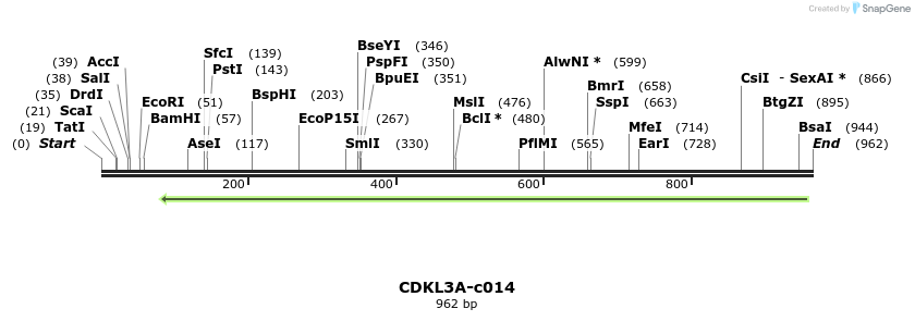 97863_map