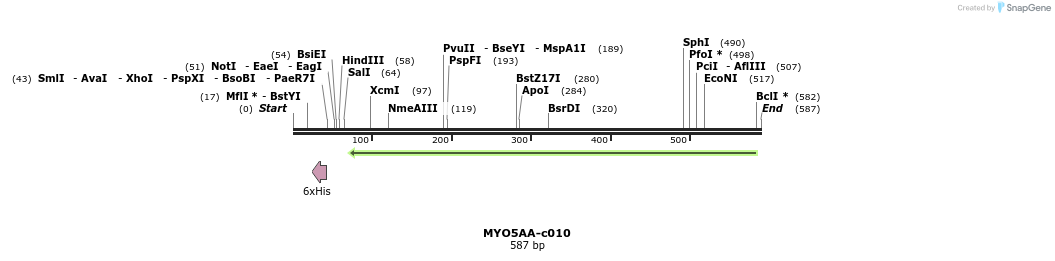 97866_map