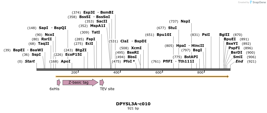 97868_map