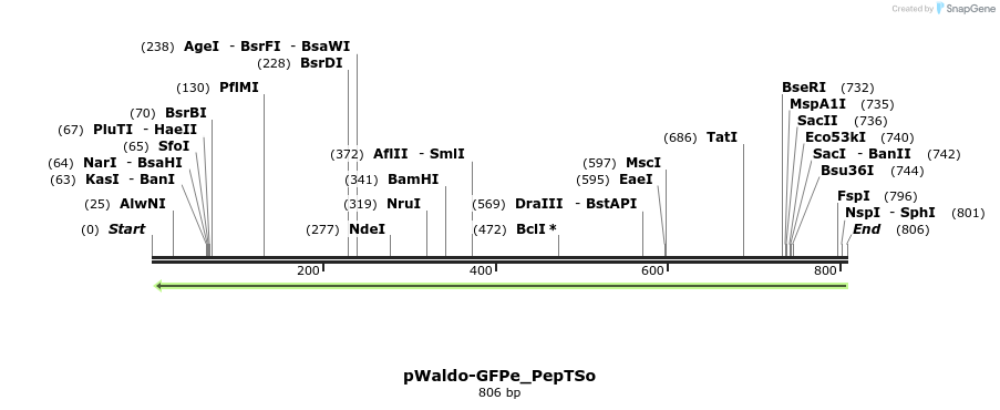 97874_map