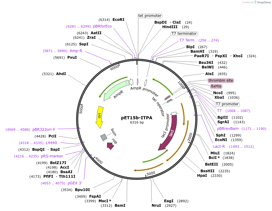 97879_map