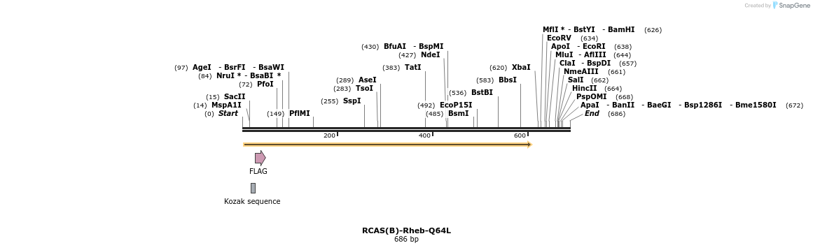 9788_map