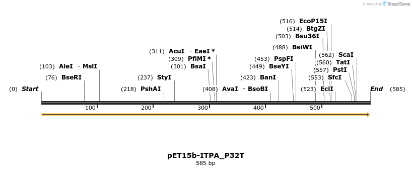 97882_map