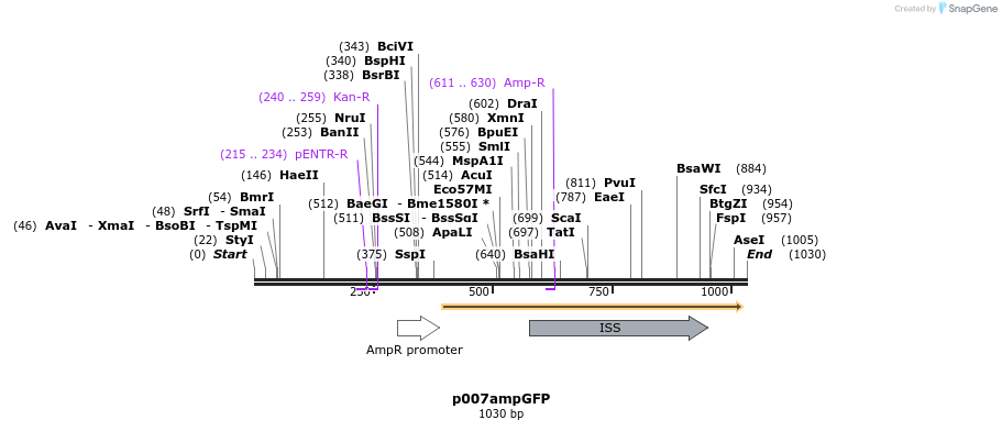 97886_map