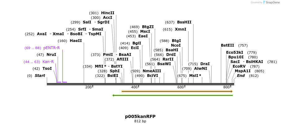 97888_map