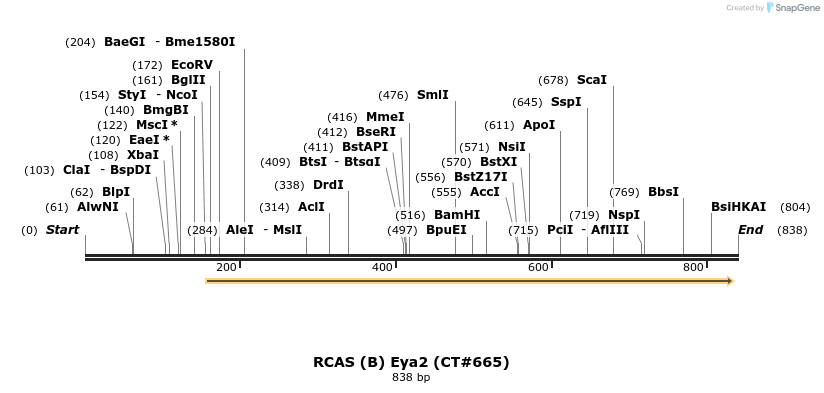 97895_map