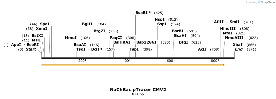 97898_map