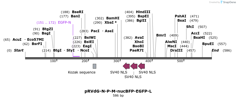 97914_map