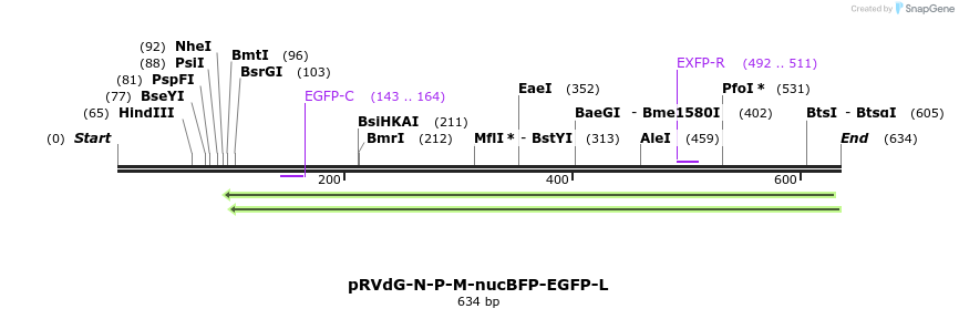 97915_map
