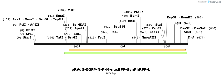 97917_map