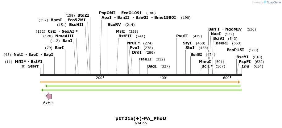 97919_map