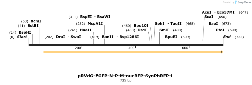 97920_map