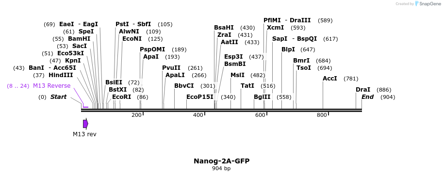 97922_map