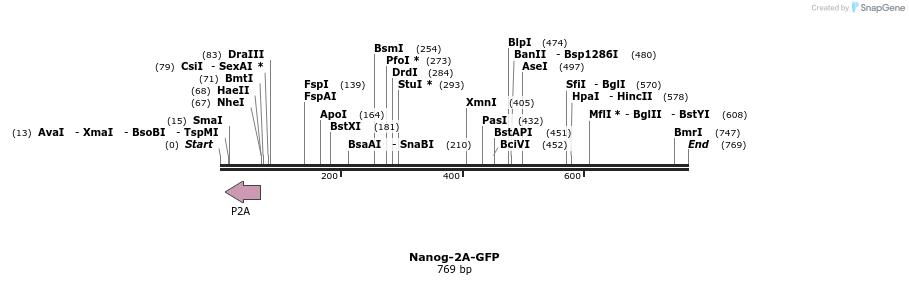 97923_map