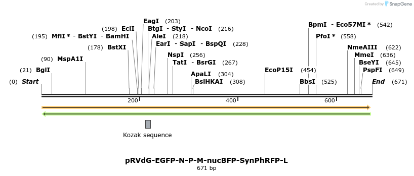 97926_map