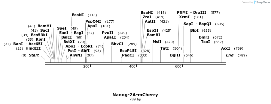 97929_map