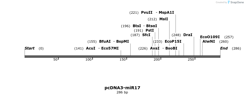 9793_map