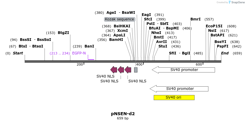 97931_map