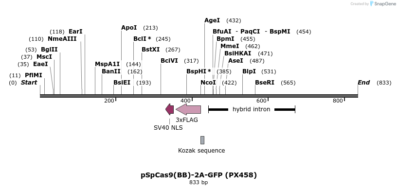 97935_map