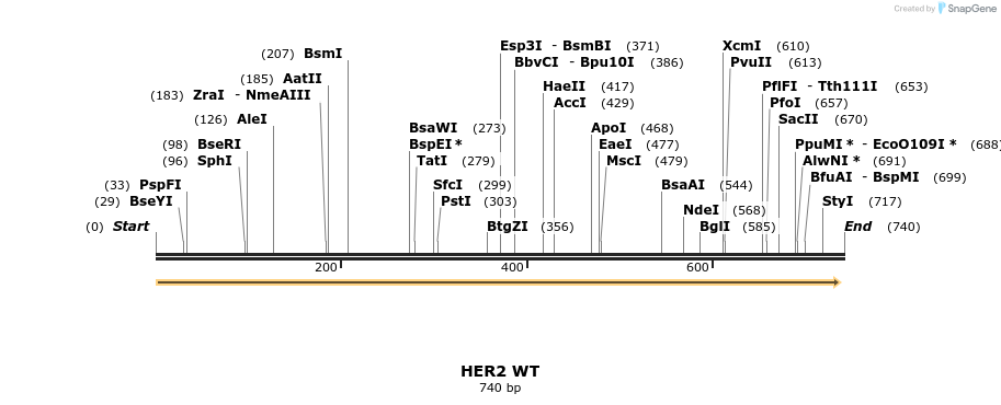 97939_map