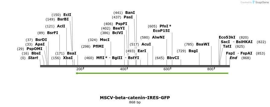 97945_map