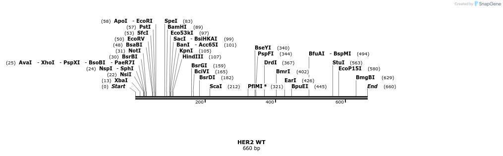 97949_map