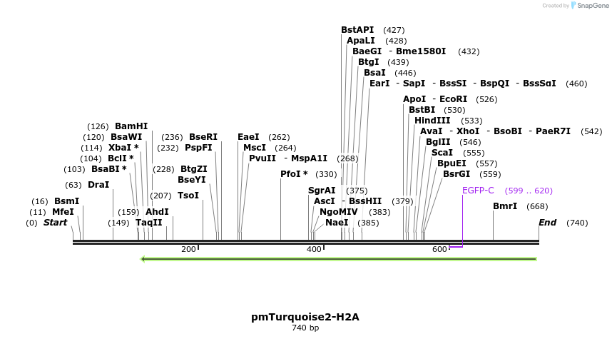 97954_map