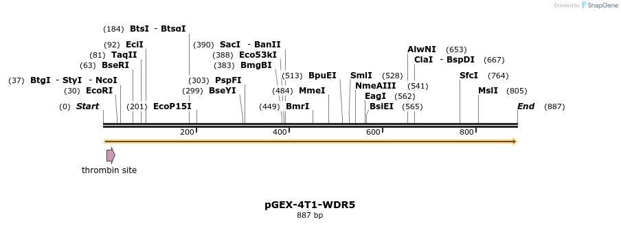 97967_map