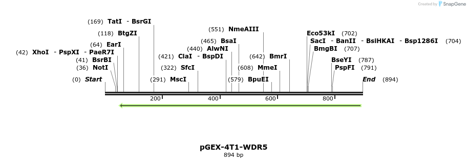 97968_map