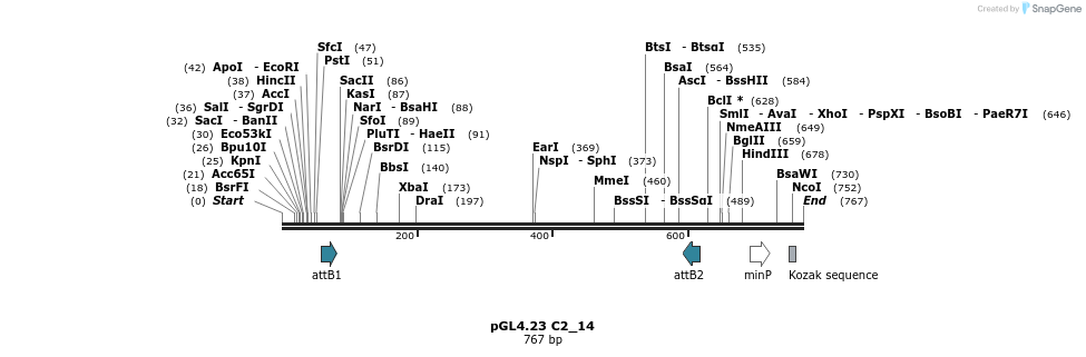 97969_map