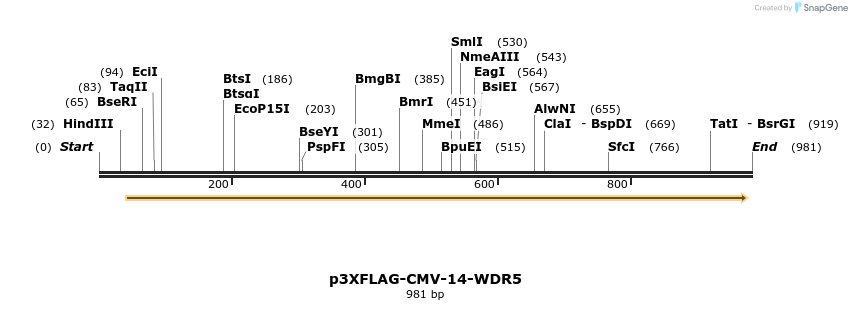 97976_map