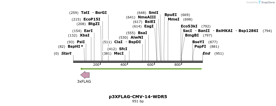 97978_map