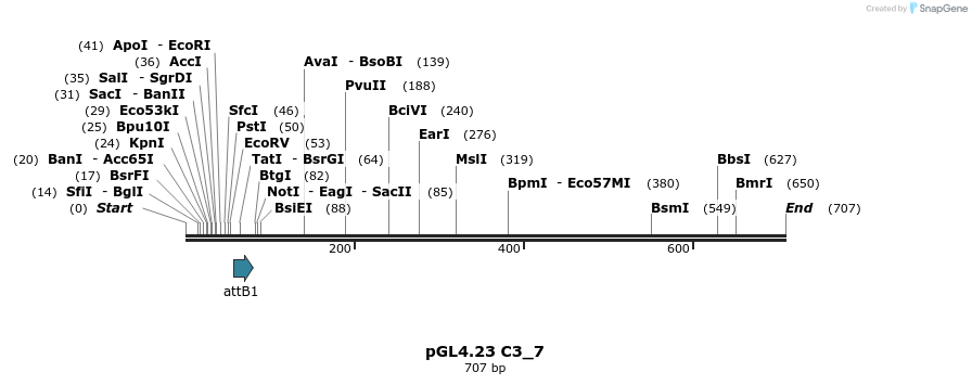 97979_map